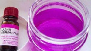  Переваги томатів без пасинкування