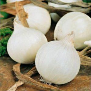 Вирощування цибулі з насіння