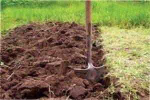 Підготовка ґрунту