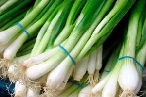 Переваги насіннєвого вирощування цибулі