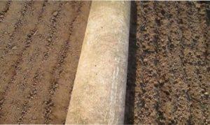 Утрамбуйте грядки