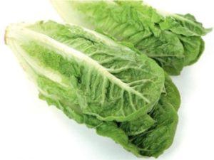 Способи підготовки насіння салату ромен