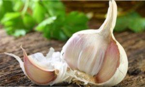 Кращі сусіди. Що посадити поруч з часником?