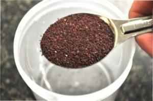 Неминуща «класика жанру »- насіннєве розмноження