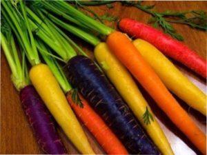 Догляд за морквою