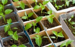 Профілактика