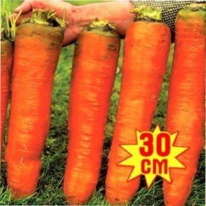 Червоний велетень