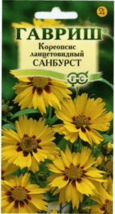 Кореопсис насіння