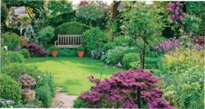 квіти для декору на дачі