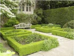 клумба на дачі у вигляді декору