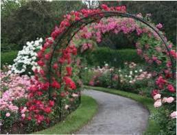 Квітучі арки як декор дачі