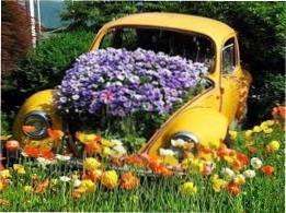 Безліч ідей для дачі