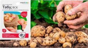 заходи застосування препарату Табу проти шкідників