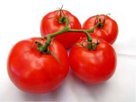 Детальний опис томата сорту Катя