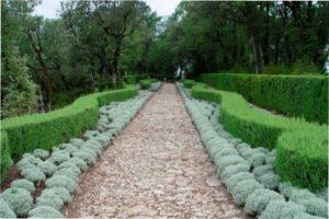 Срібляста Бордюрна