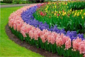 Правила формування бордюру