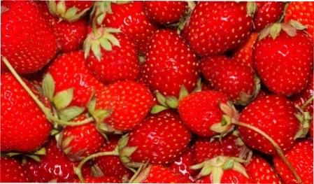 Правильний догляд за полуницею