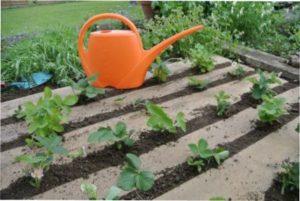 Препарати,які мають подвійний ефект