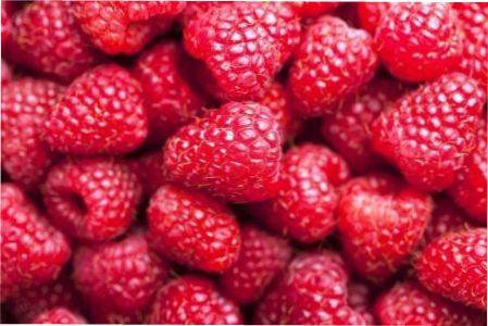 Підживлення малини навесні, влітку і восени з описом та фото