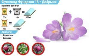 Фундазол схема