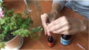 Як підгодувати рослини йодом