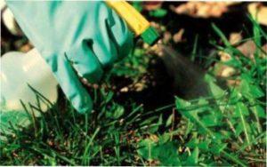 препарат Торнадо застосування