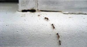 Техніка безпеки при роботі з борною кислотою