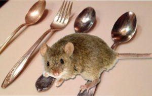 Чому важливо здійснювати боротьбу?