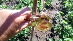 Покрокова інструкція виробництва вертушки своїми руками