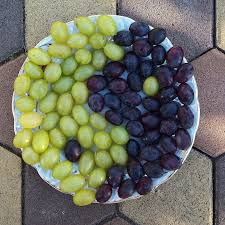 Як обрізати молодий виноград: опис, нюанси та поради