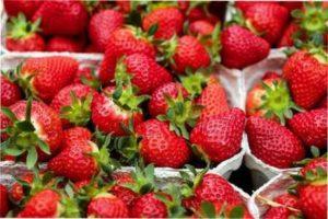 Уживаються різні сорти полуниці, посаджені поруч