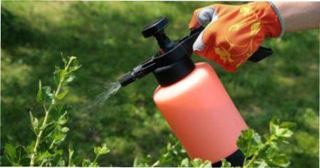 Фунгіцид "Абіга-Пік" - інструкція по використанню