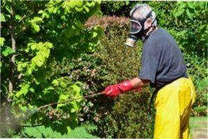 Застосування фунгіциду