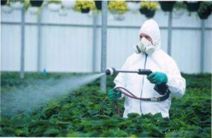 Інсектофунгіцид «ДНОК