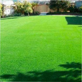 Коли та як удобрювати газон фото