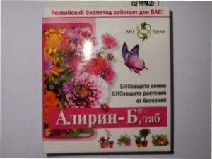 Чим обробляти троянди від хвороб: ефективні засоби