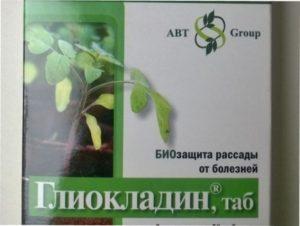 Чим обробляти троянди від хвороб самостійно