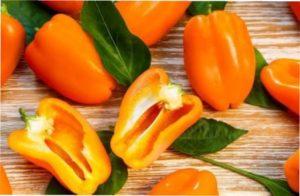Пізньостиглі сорти солодкого перцю для вирощування на вашій ділянці