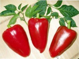 Пізньостиглі сорти солодкого перцю для вирощування на вашій дачі