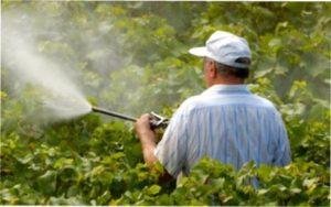 Ридоміл Голд для дач та городів