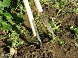 Ручний культиватор фото