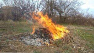 Вогнище нагороді фото