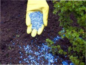 Хімічні добрива характеристика