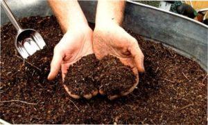 Зберігання добрив фото