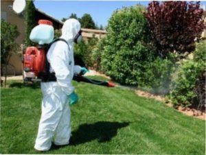 Особливості застосування препарату "Максим"