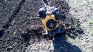 Обробка грунту фото