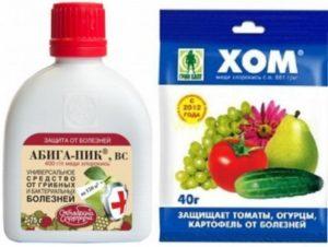 Профілктика хвороб