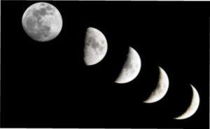 Вплив Спадного Місяця на розвиток рослин