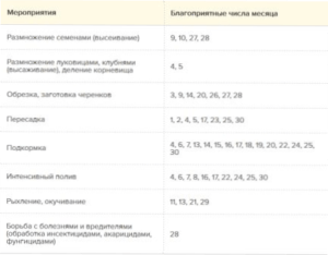 Місячний календар сприятливих для квітникаря днів в листопаді 2021 року