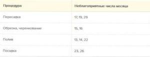 місячний календар не сприятливих для квітникаря днів в листопаді 2021 року